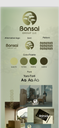 Brand Identity Visuals