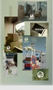 Brand Identity Visuals